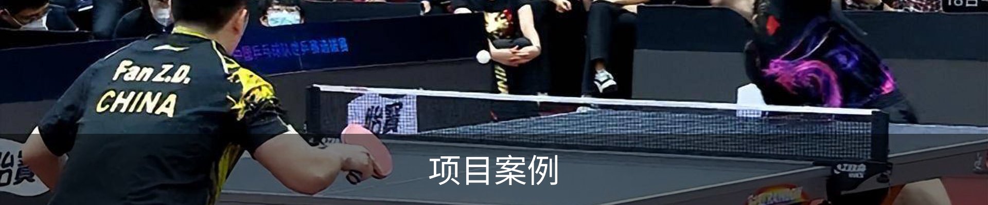 项目案例